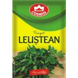 COSMIN LEUSTEAN 6 G