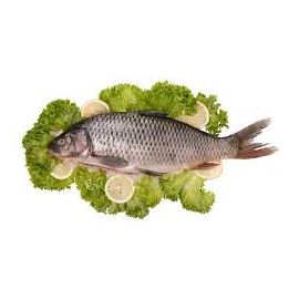 CARP EVISCERAT